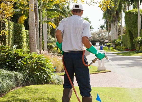 About Worthing SD Pest Control